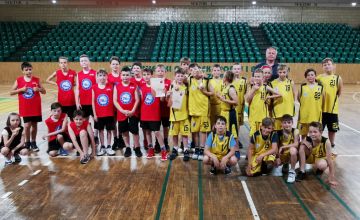 BASKET CUP