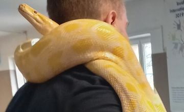 Żywa lekcja biologii w klasach 4 i 5