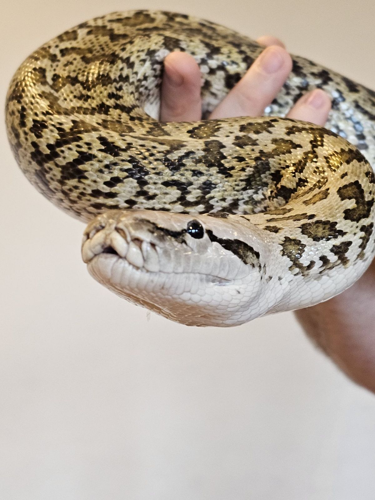 żywa lekcja biologii