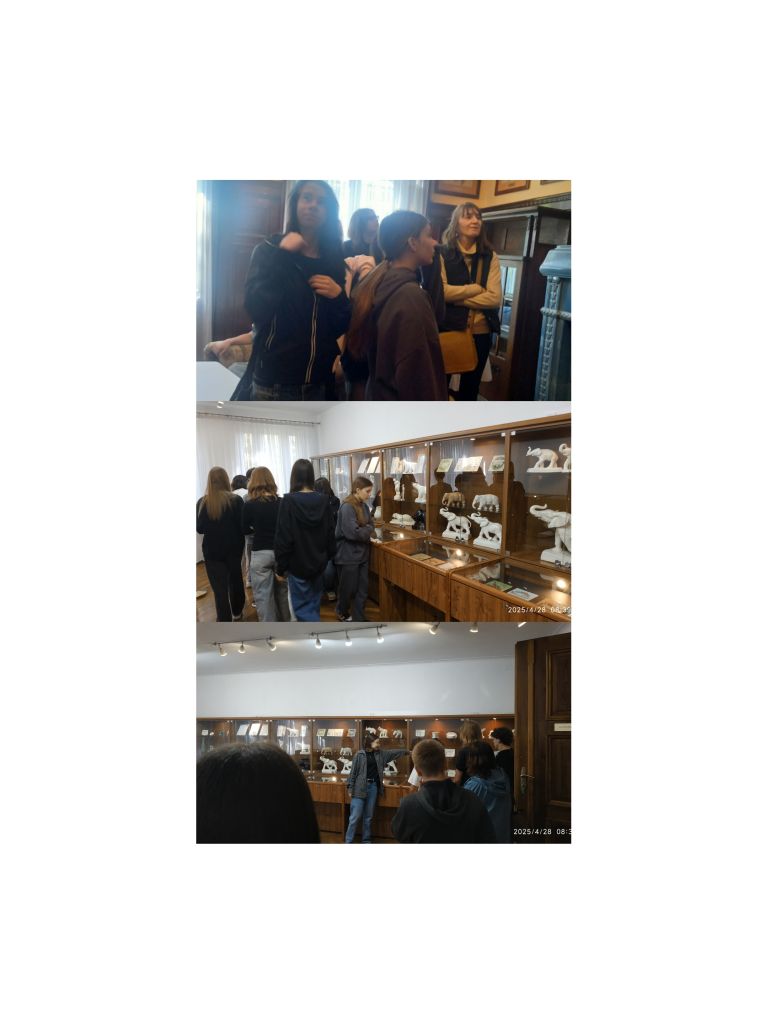 CZELADŹ NA NOWO ODKRYWANA