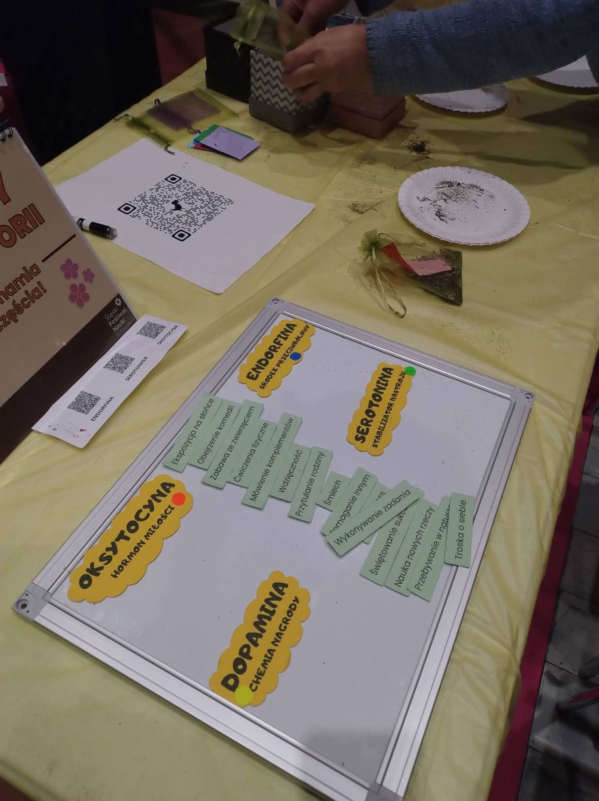 dziewiąta edycja Śląskiego Festiwalu Nauki dziewiąta edycji Śląskiego Festiwalu Nauki