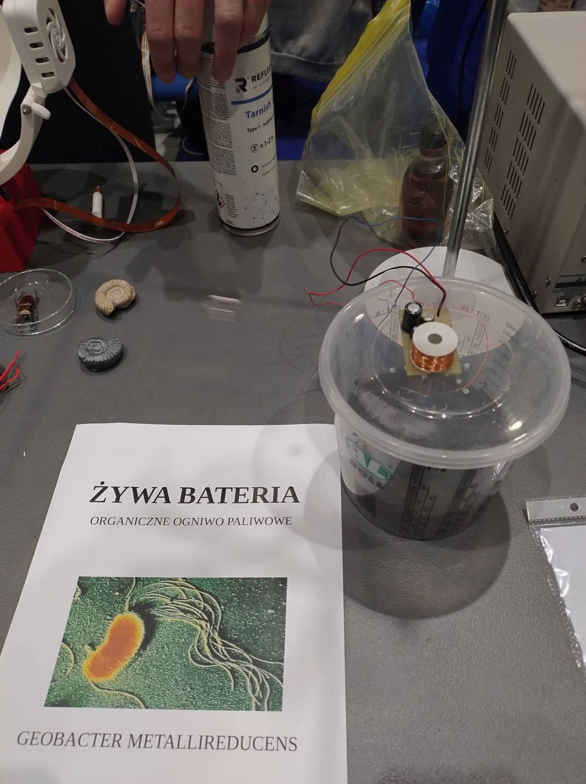 Festiwal Nauki Festiwal Nauki