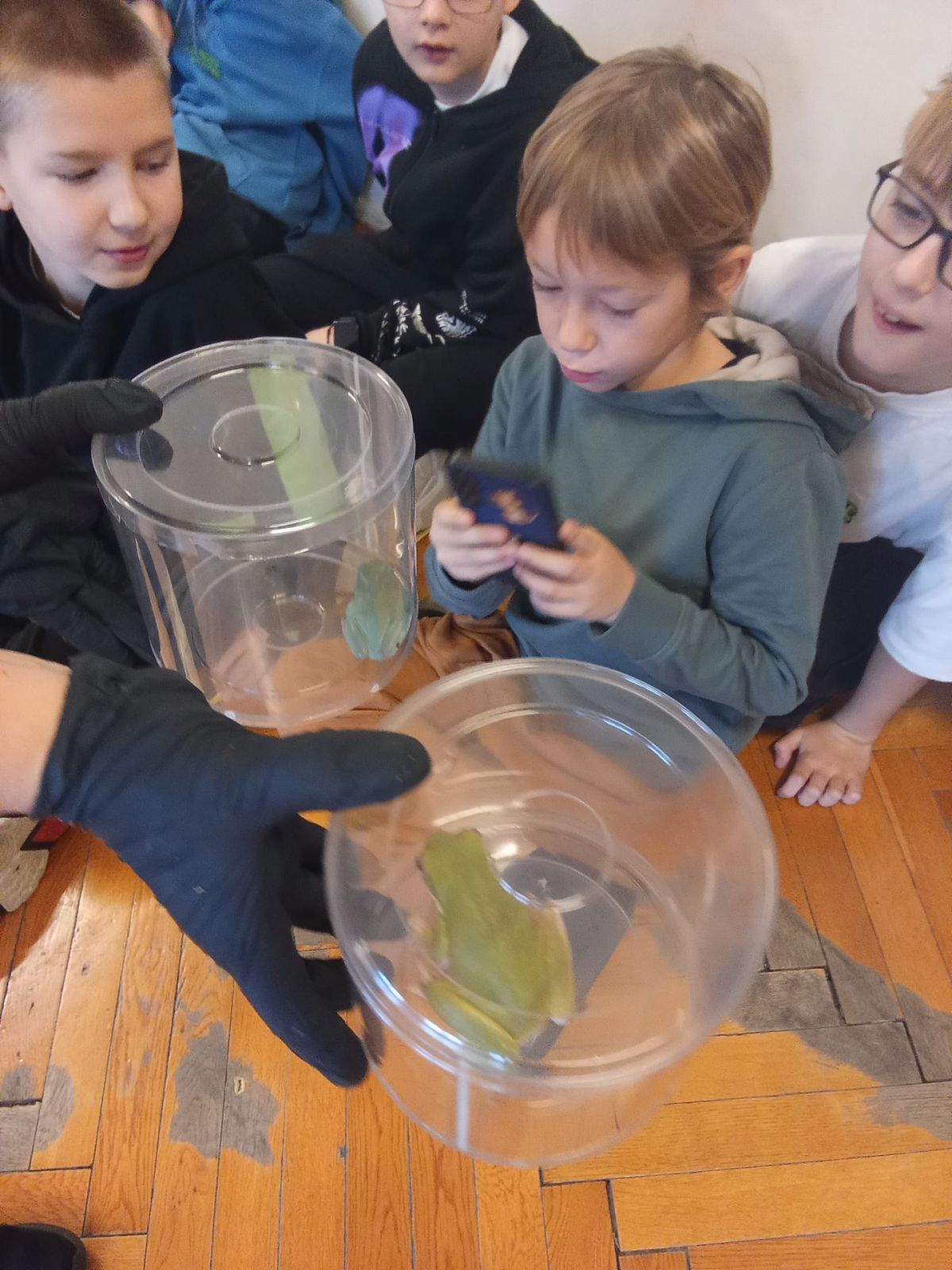 ŻYWA LEKCJA O PŁAZACH ŻYWA LEKCJA O PŁAZACH