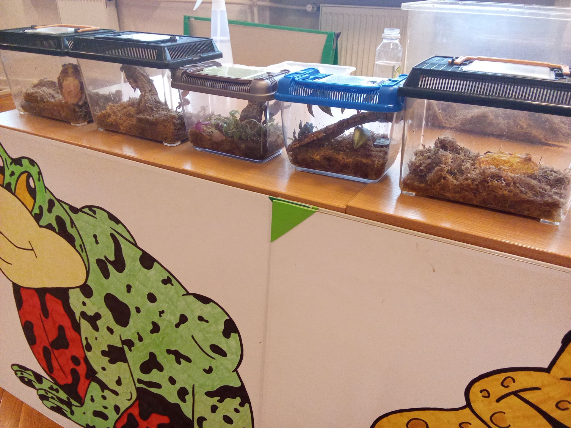 ŻYWA LEKCJA O PŁAZACH ŻYWA LEKCJA O PŁAZACH