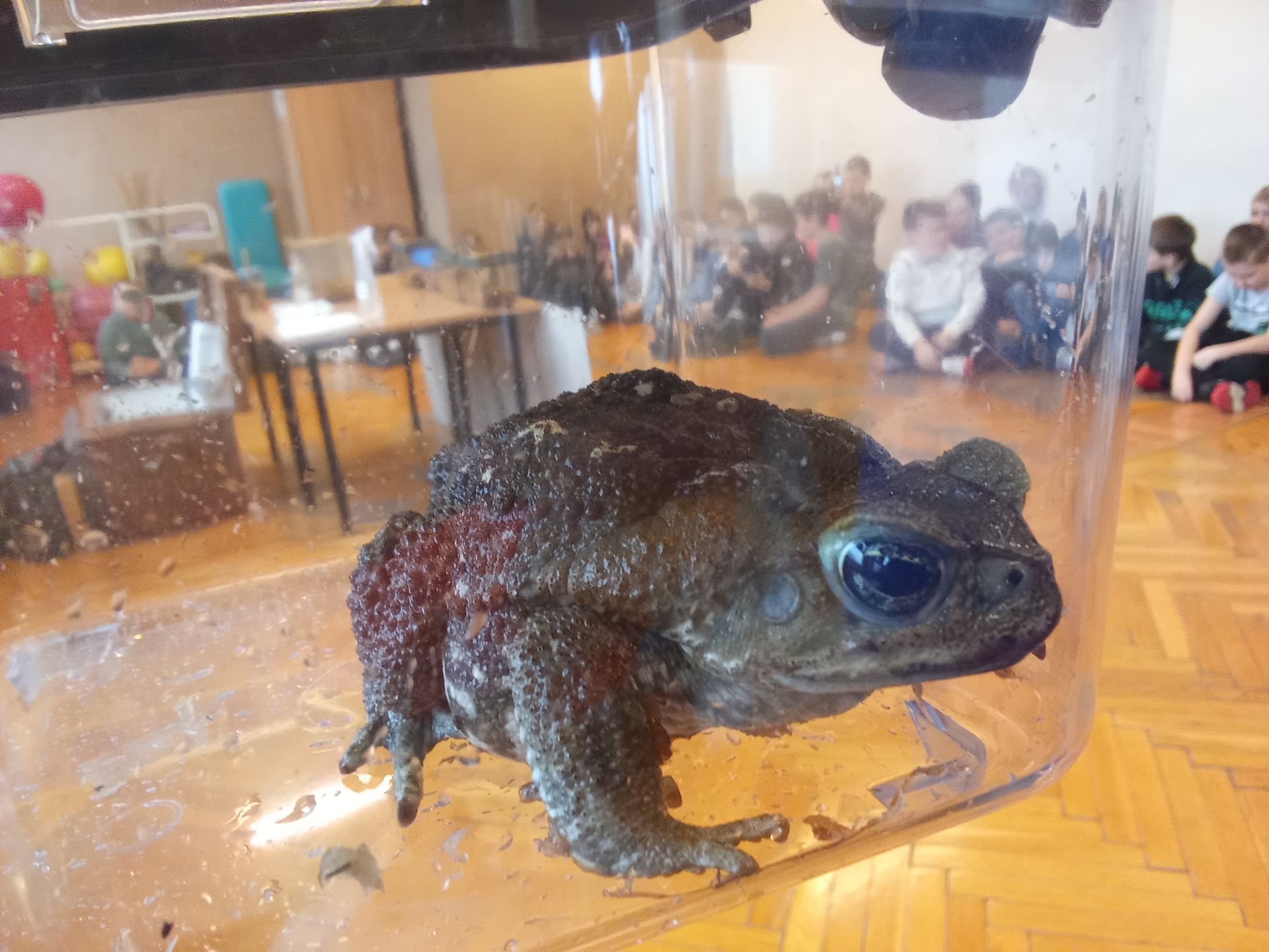 ŻYWA LEKCJA O PŁAZACH ŻYWA LEKCJA O PŁAZACH