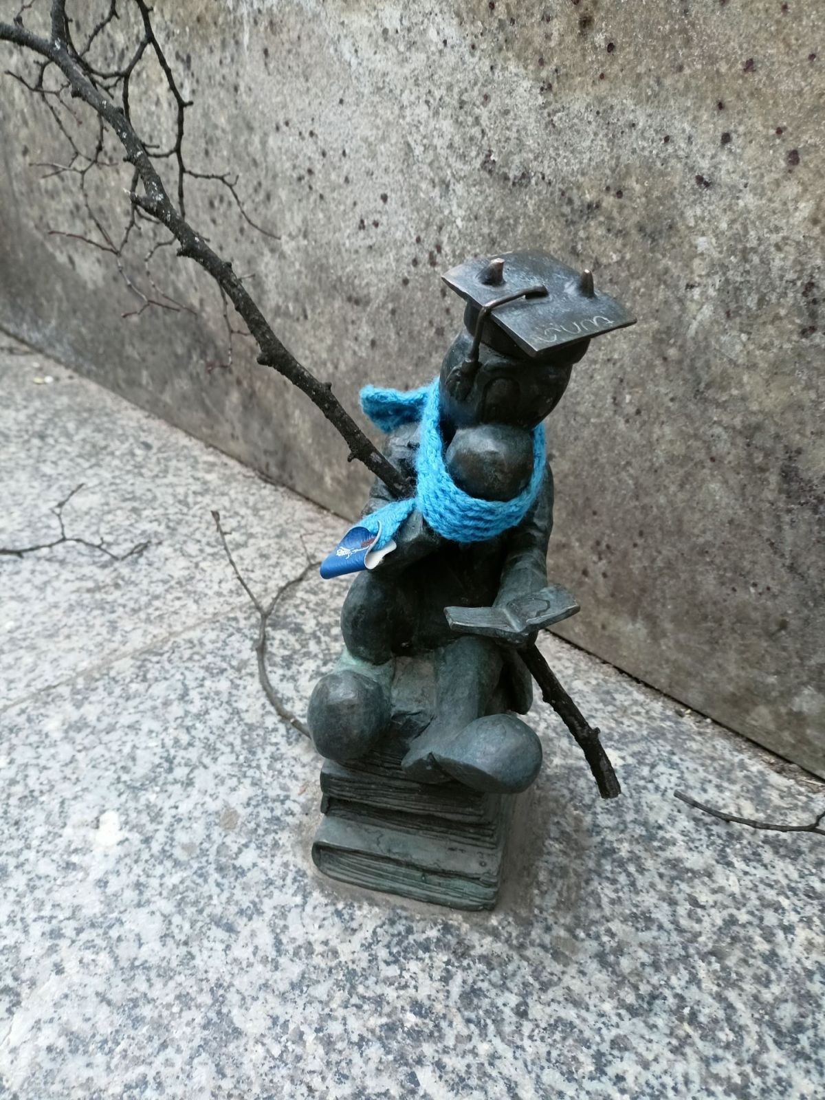 Warsztaty regionalne